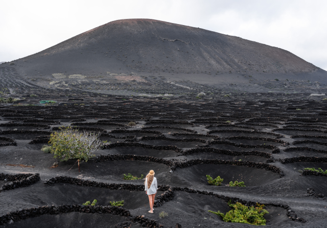 Los viñedos de La Geria sobre ceniza volcánica negra, al pie de un volcán